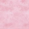 4' X 5' Pink Shag Power Loom Area Rug