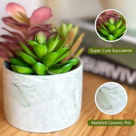 Artificial Plants Cute Colourful Succulents in Ceramic Planter Fake Plant Flowers Potted for Home Living Room Office Desk Decor Bathroom Bedroom